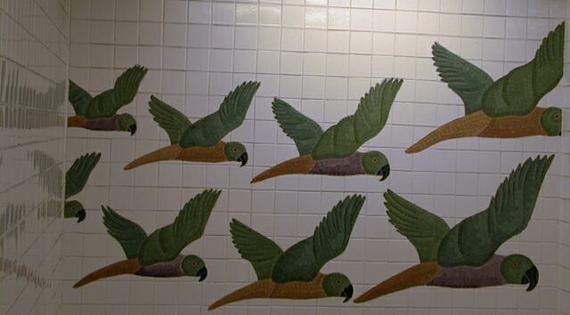 sorabji.com, nyc