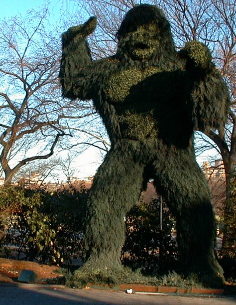 sorabji.com, nyc