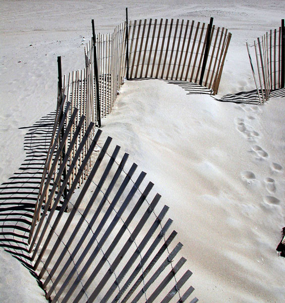 sorabji.com: Coney Island Beach