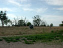 Carhenge