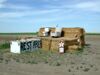 Rest Area. Alliance, Nebraska