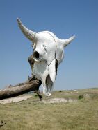 High Plains