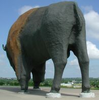World's
Biggest Buffalo