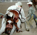 Ft. Pierre, South Dakota. 4th of July Rodeo, 2002.