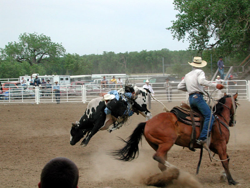 Ft. Pierre, South Dakota. Stanley County Fairgrounds. 4th of July, 2002, Rodeo