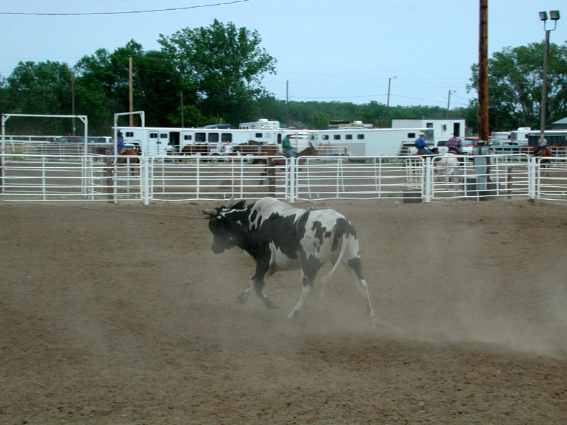 Ft. Pierre, South Dakota. Stanley County Fairgrounds. 4th of July, 2002, Rodeo