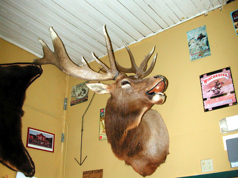 Beulah, Wyoming