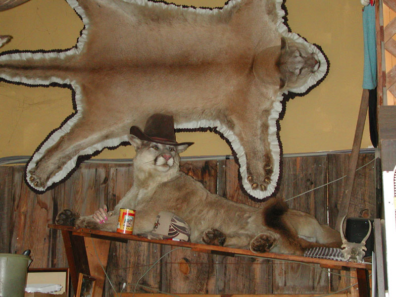 Beulah, Wyoming