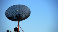 DISH DISH