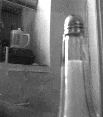 Salt Shaker
