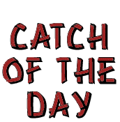 Catch of the Day
