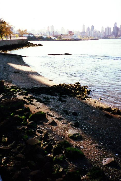 East River Estuary - 57k