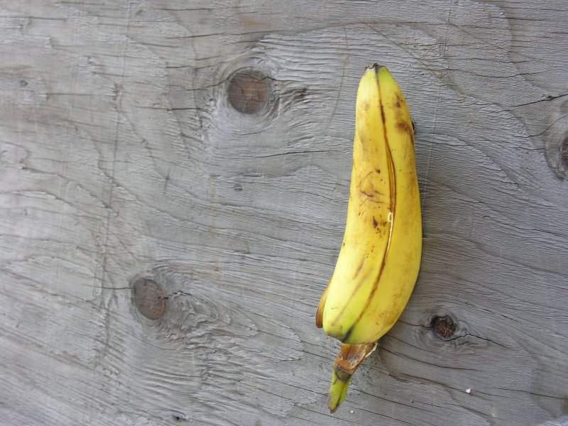 sorabji.com: Banana, Hung by a Nail