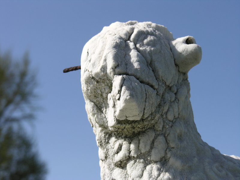 sorabji.com: Calvary Cemetery, Queens