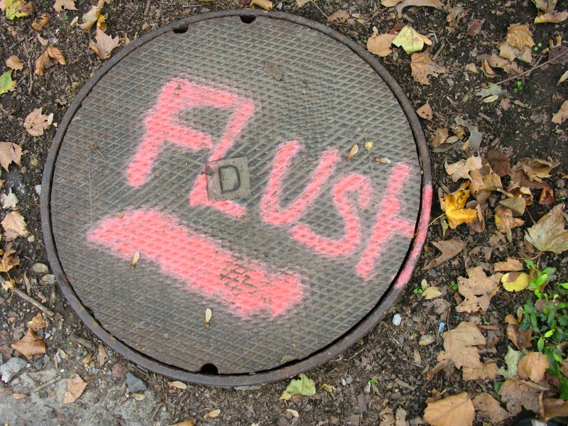 sorabji.com: Flushing