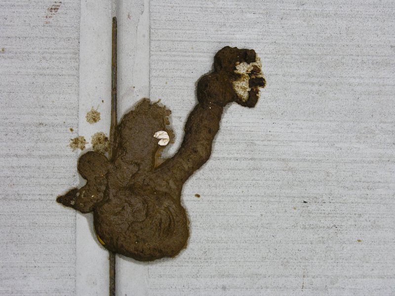 sorabji.com: Dog Shit with Bubble Gum, Human Head Form