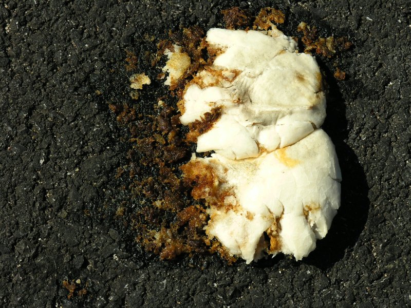 sorabji.com: Dumplings? (Woodside)