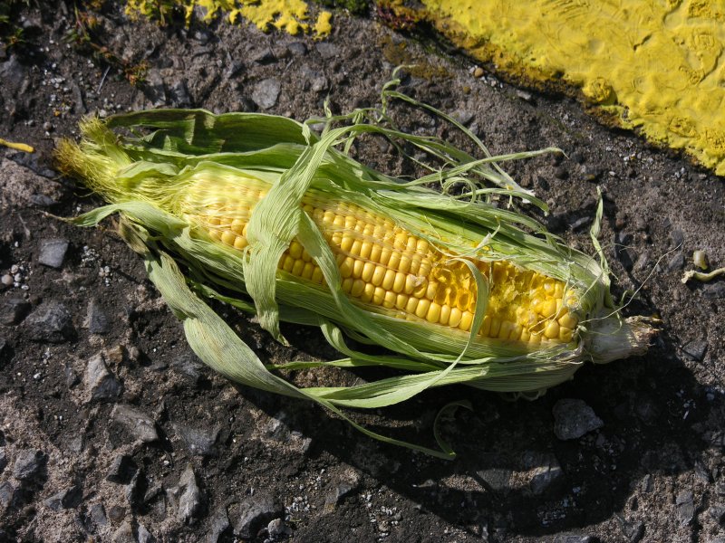 sorabji.com: Corn on the Sidewalk