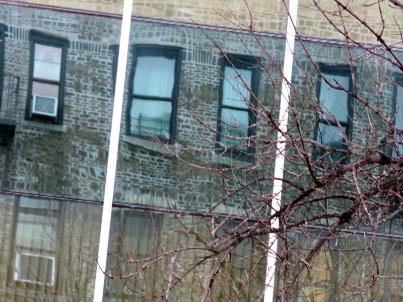 sorabji.com: Windows (Astoria)