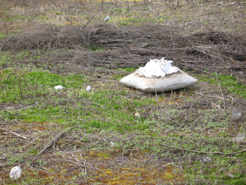 sorabji.com: Pillow