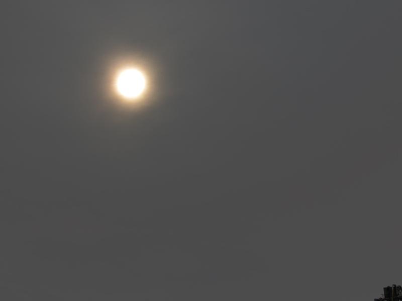 sorabji.com: Sun