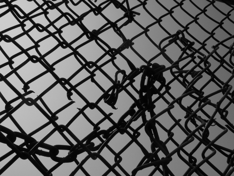 sorabji.com: Fence