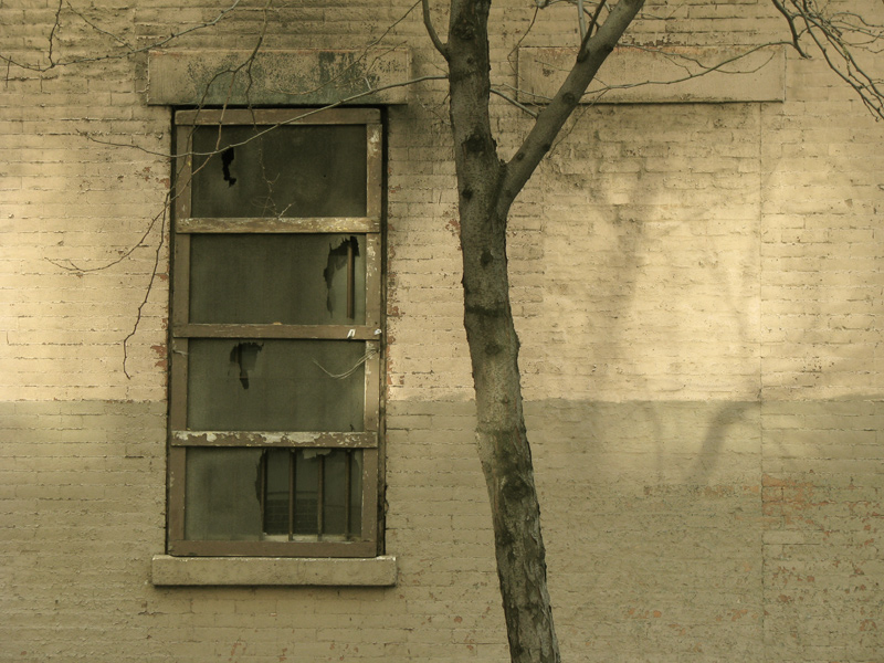 sorabji.com: Window and tree, Manhattan