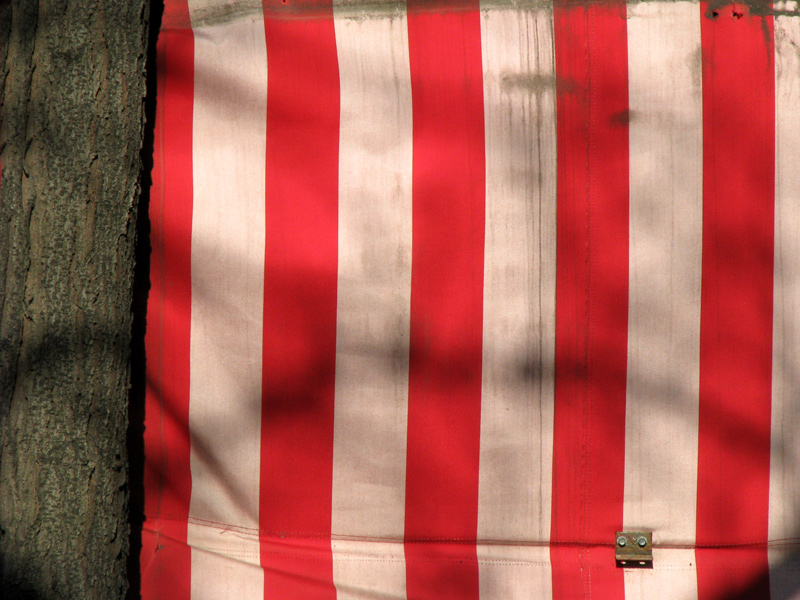 sorabji.com: Flag Pattern