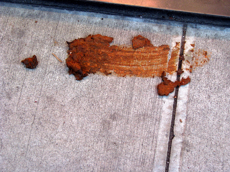sorabji.com: Dog Shit Smear, Madison Avenue
