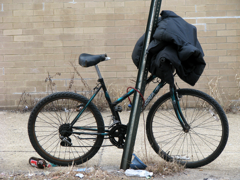 sorabji.com: Bike, Jacket, Budweiser