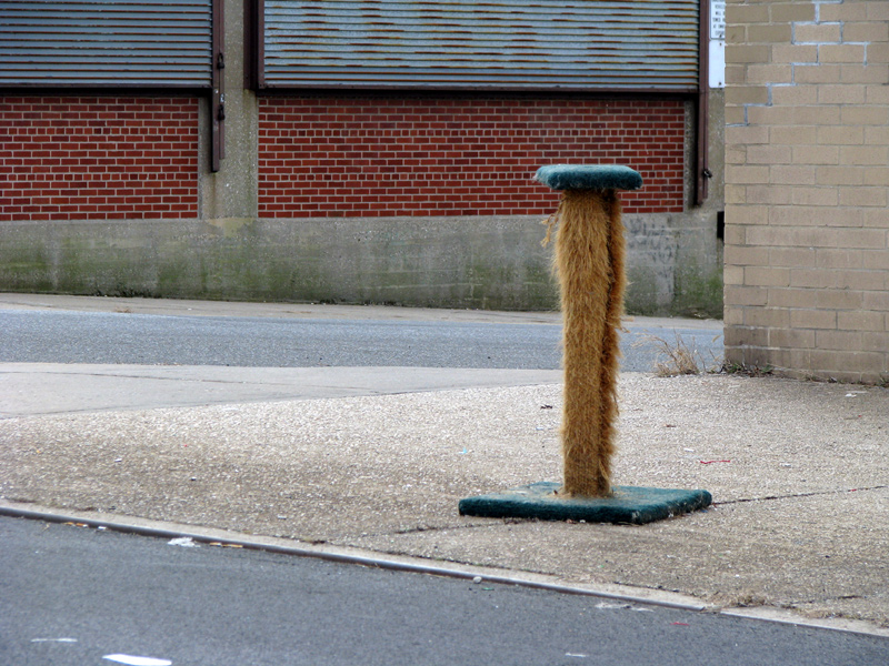sorabji.com: Scratching post on the sidewalk