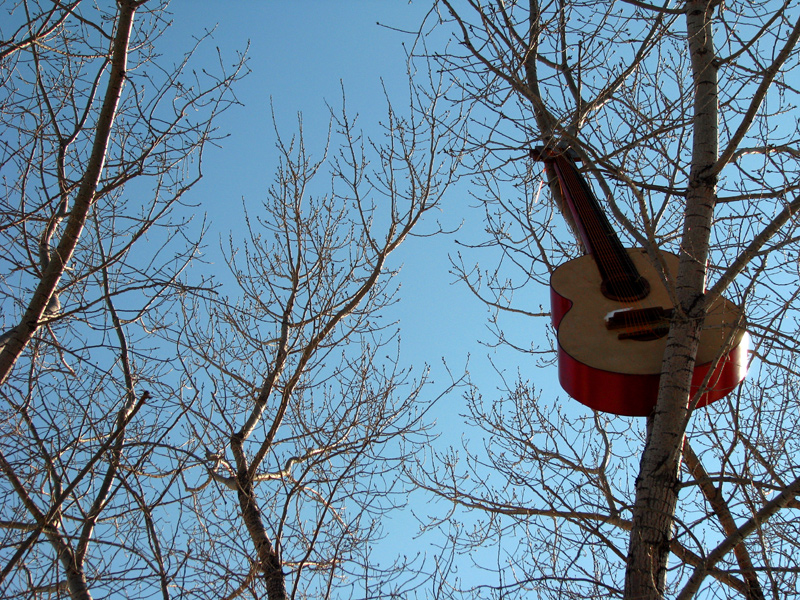 sorabji.com: Guitar in Tree, L.I.C.