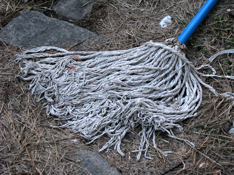sorabji.com: Discarded Mop