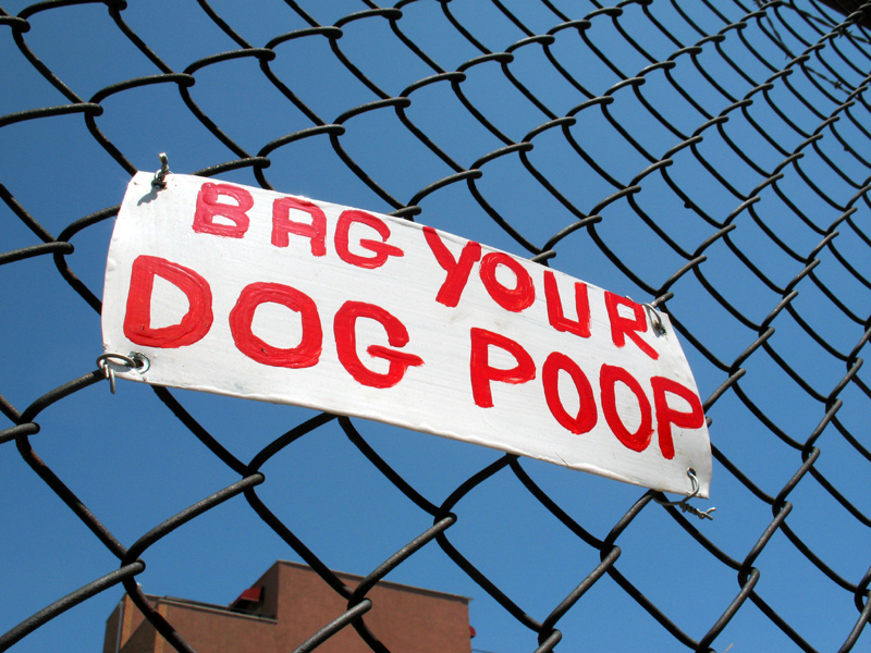 sorabji.com: Bag Your Dog Poop
