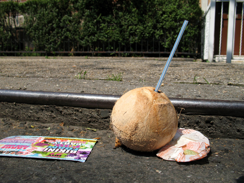 sorabji.com: Coconut with Straw