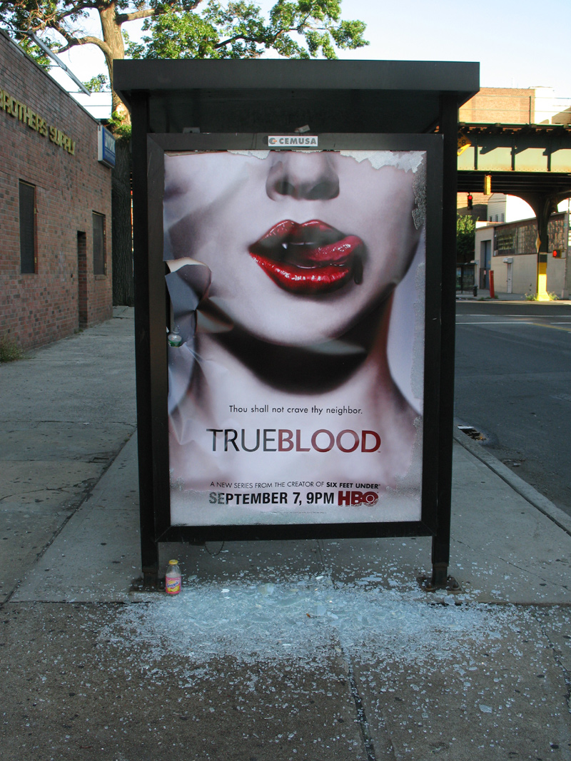 sorabji.com: True Blood, Shattered Glass