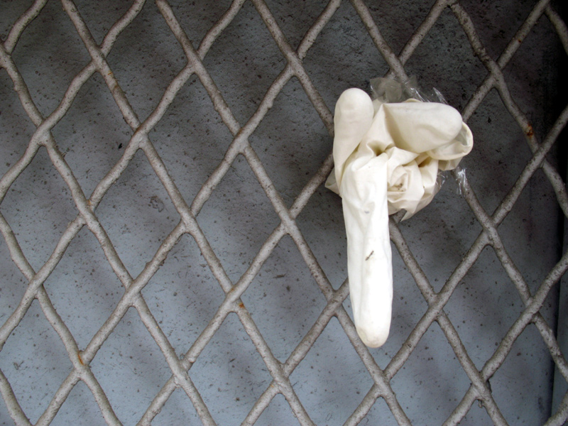 sorabji.com: Surgical Glove