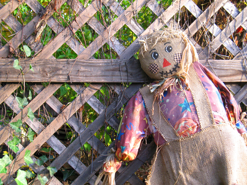 sorabji.com: Rag Doll