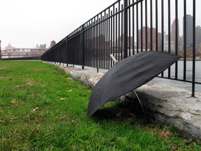 sorabji.com: Umbrella, Rainey Park