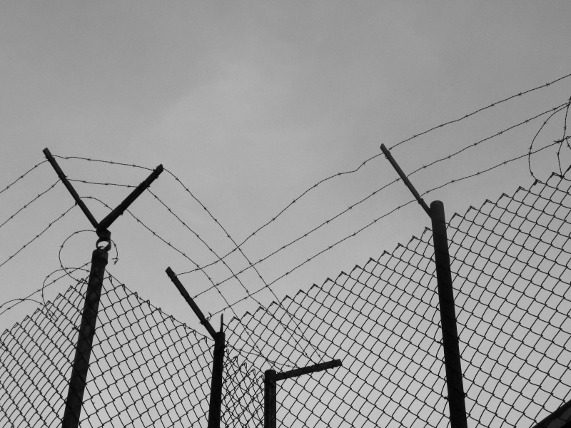 sorabji.com: Fences and Barbed Wire