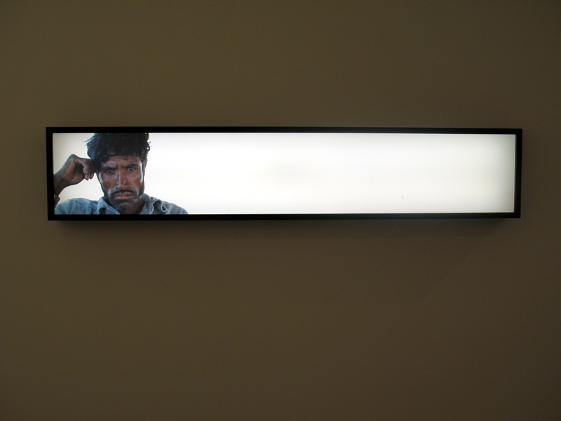 sorabji.com: Coyote! (A), 1988, by Alfredo Jaar