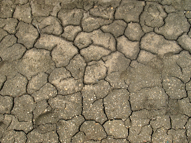 sorabji.com: Cracked Dirt