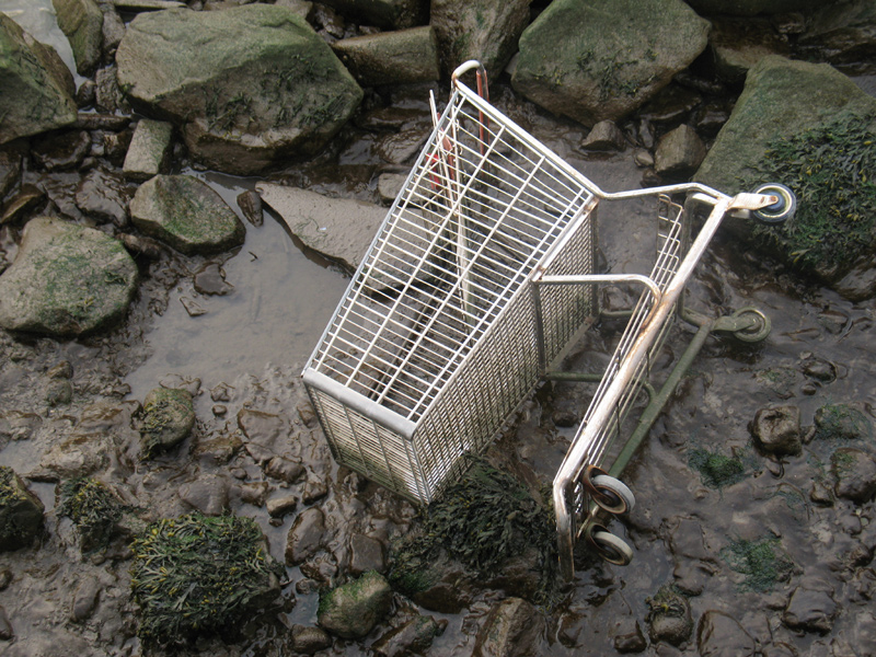 sorabji.com: Shopping Cart, East River