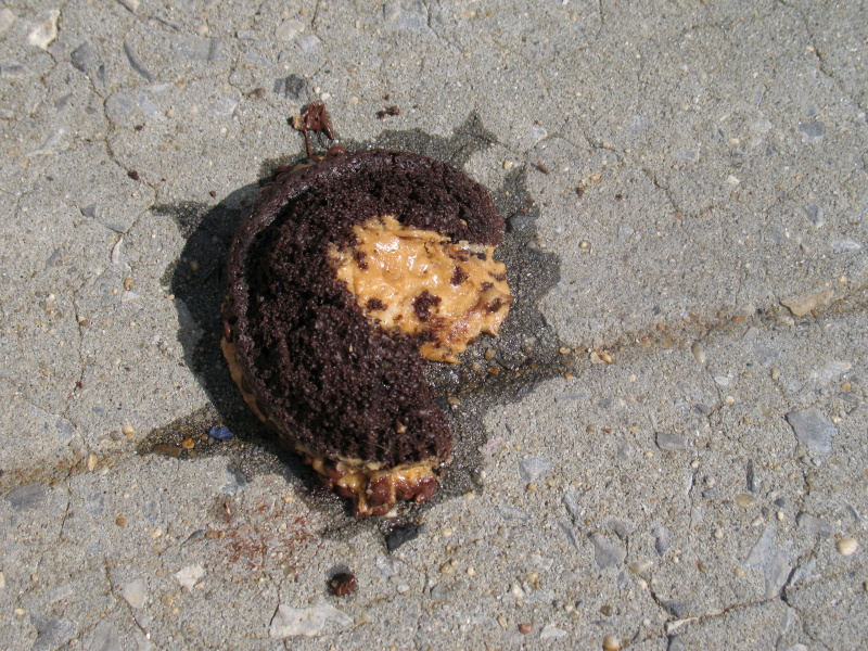 sorabji.com: Have a Cupcake