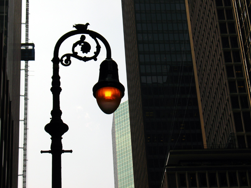 sorabji.com: Bird on a Light Post