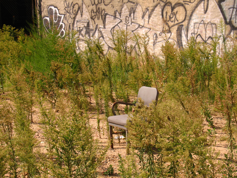 sorabji.com: Office Chair