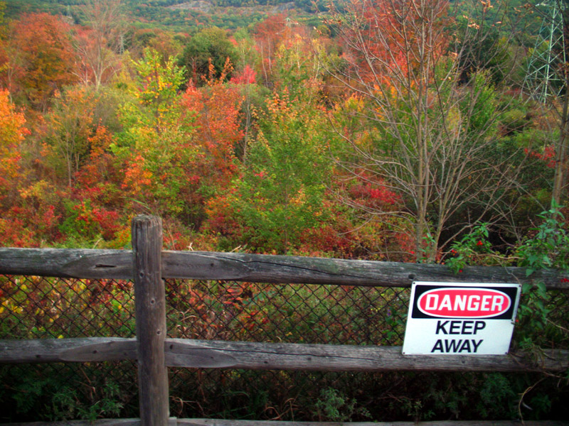 sorabji.com: Keep Away From the Fall Foliage