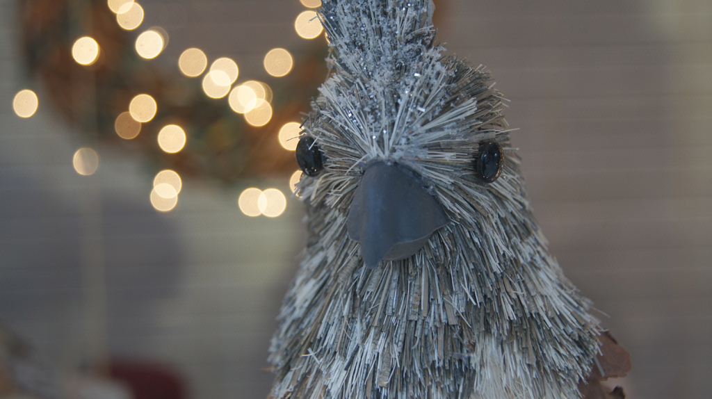 sorabji.com: Bird