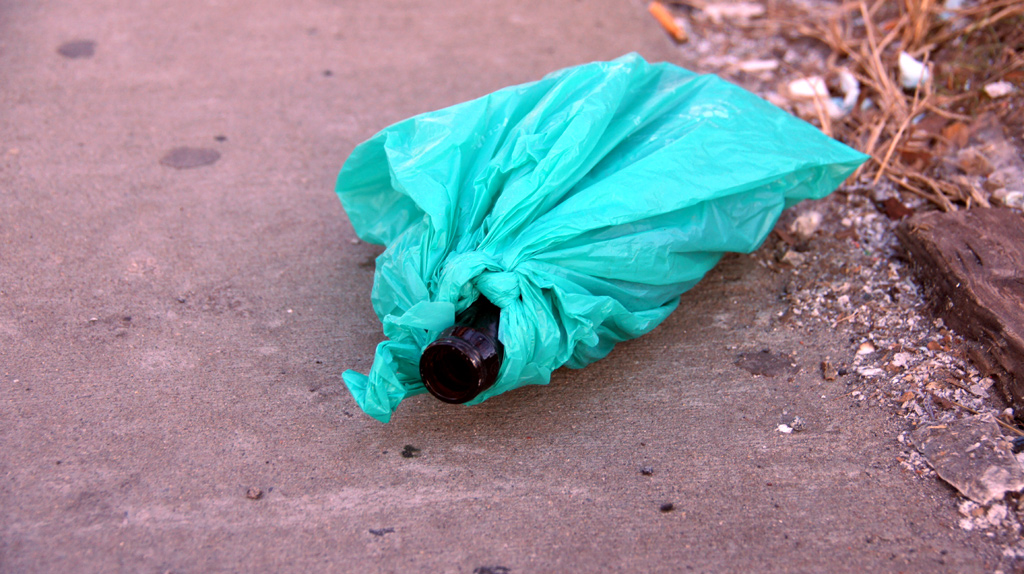 sorabji.com: Teal-Bagging It