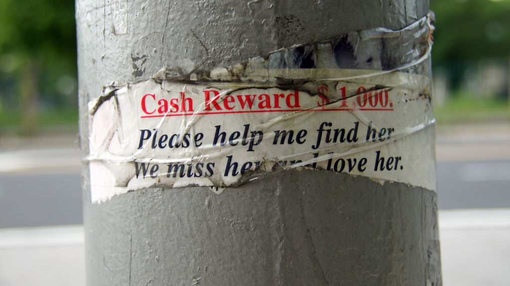sorabji.com: Please Help Me Find Her